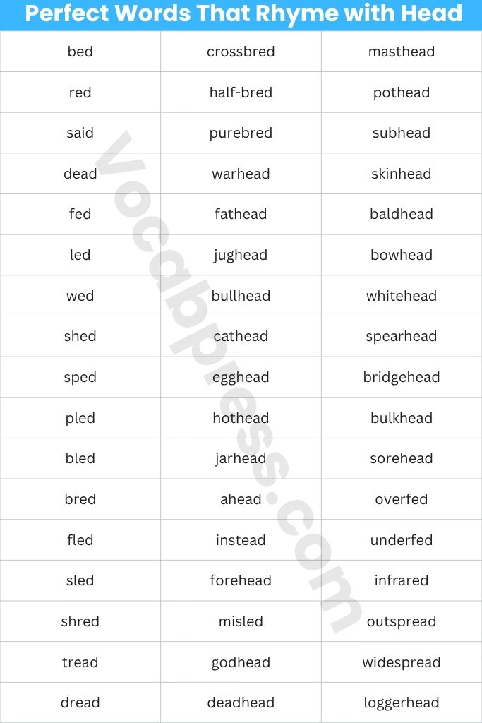 Perfect Words That Rhyme with Head