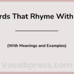 Words That Rhyme With Light (With Meanings and Examples)