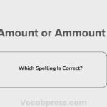 Amount or Ammount: Which Spelling Is Correct?