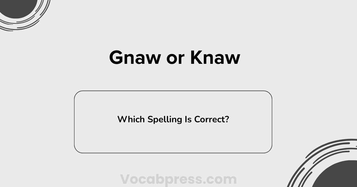 Gnaw or Knaw: Which Spelling Is Correct?