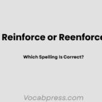 Reinforce or Reenforce: Which Spelling Is Correct?