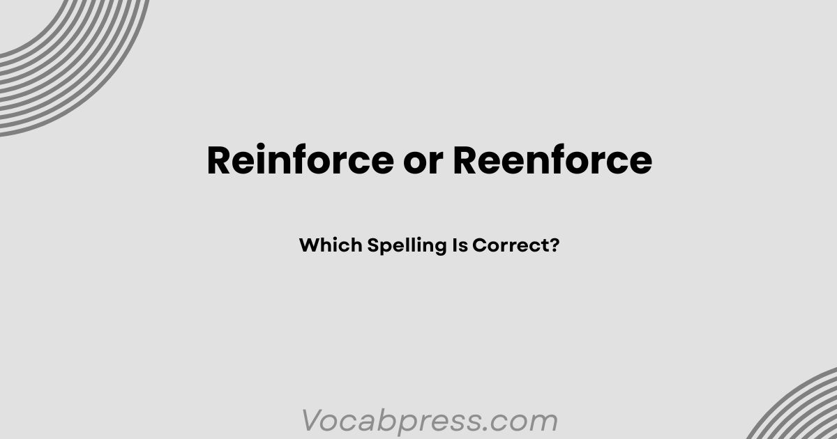 Reinforce or Reenforce: Which Spelling Is Correct?
