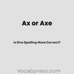 Ax or Axe: Is One Spelling More Correct?