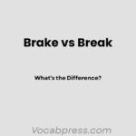 Brake vs Break: What’s the Difference?
