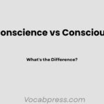 Conscience vs Conscious: What's the Difference?