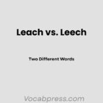 Leach vs. Leech: Two Different Words