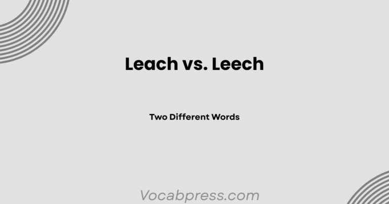 Leach vs. Leech: Two Different Words