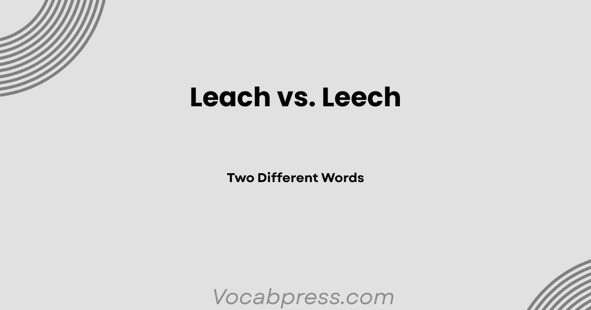 Leach vs. Leech: Two Different Words