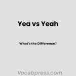 Yea vs Yeah: What’s the Difference?